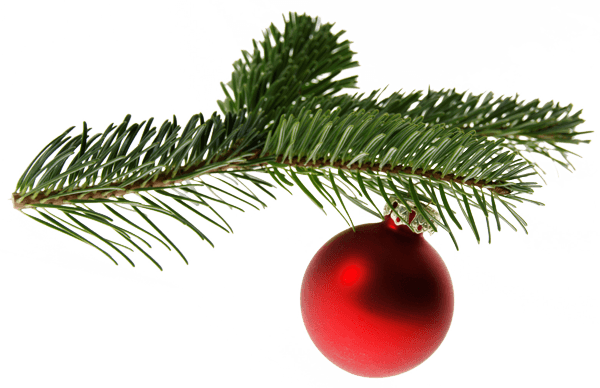 Tannenzweig mit roter Christbaumkugel